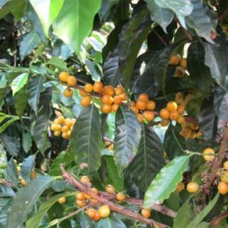 Gwatemala Huehuetenango