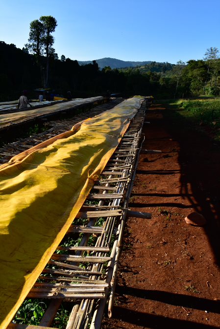 Kawa Etiopia Specialty Coffee Khalid Kemal