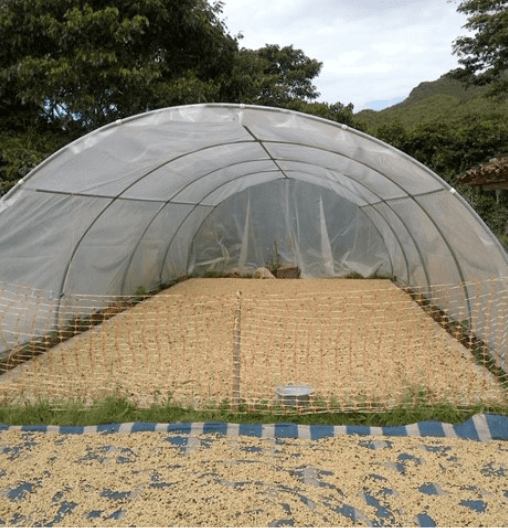 Kawa ziarnista z Peru Rodriguez de Mendoza Organic Kawa Specialty