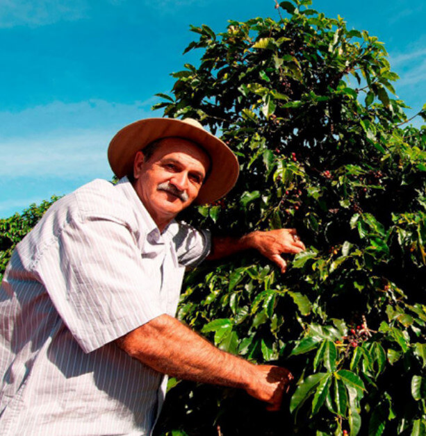 Kawa z Brazylii San Martin