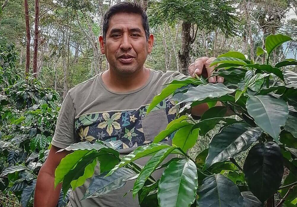 La Despreciada Jimmy Marin