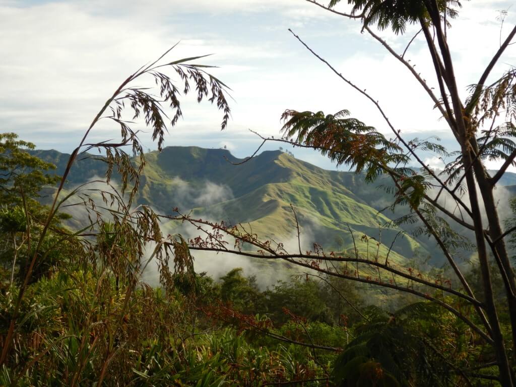 Papua Nowa Gwinea Korofeigu