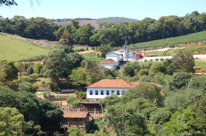 Plantacja Fazenda Sertao