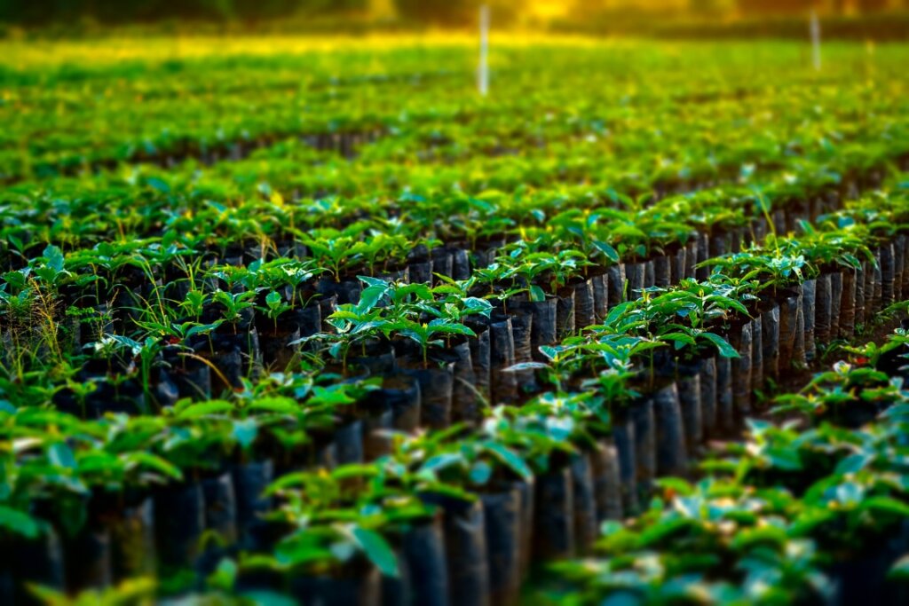 Costa Rica San Rafael