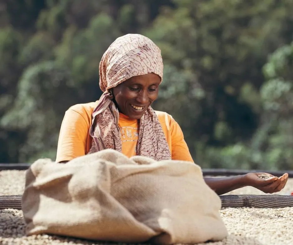 Kawa z Etiopii w El Gato